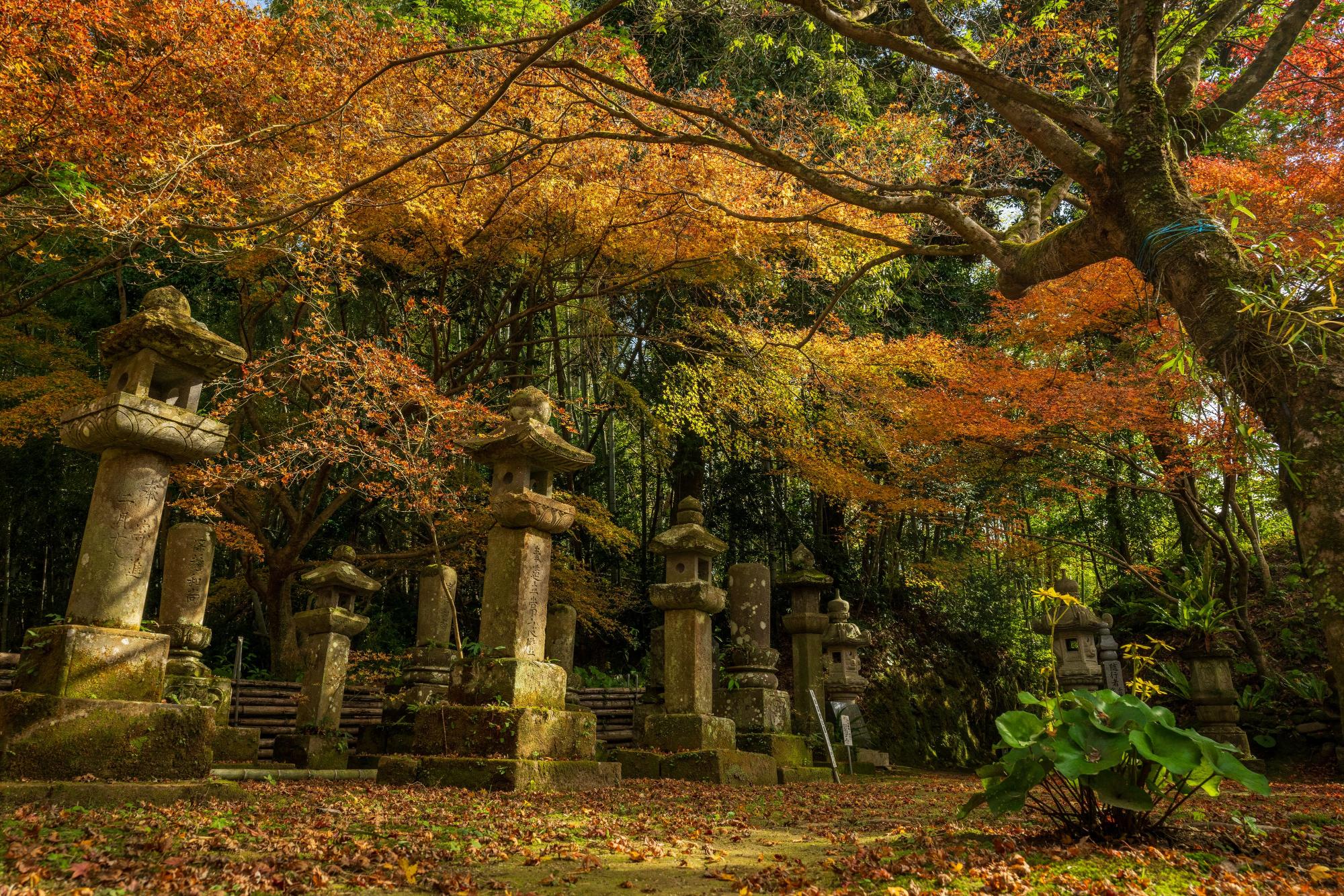 古刹の名残に惹かれて