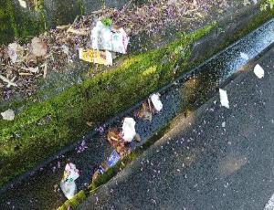 高山温泉ドーム付近の町道上