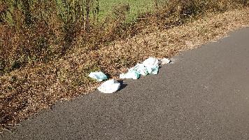 後田地区境川付近