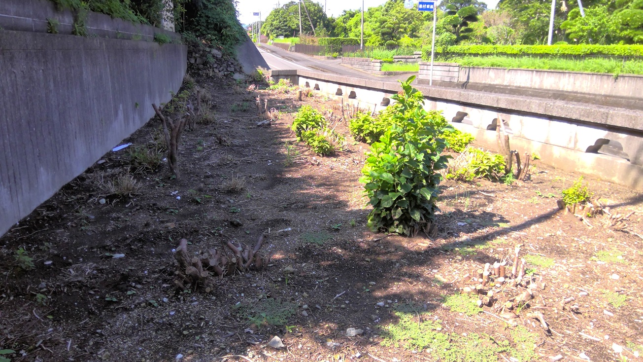 detached 高山（前田）