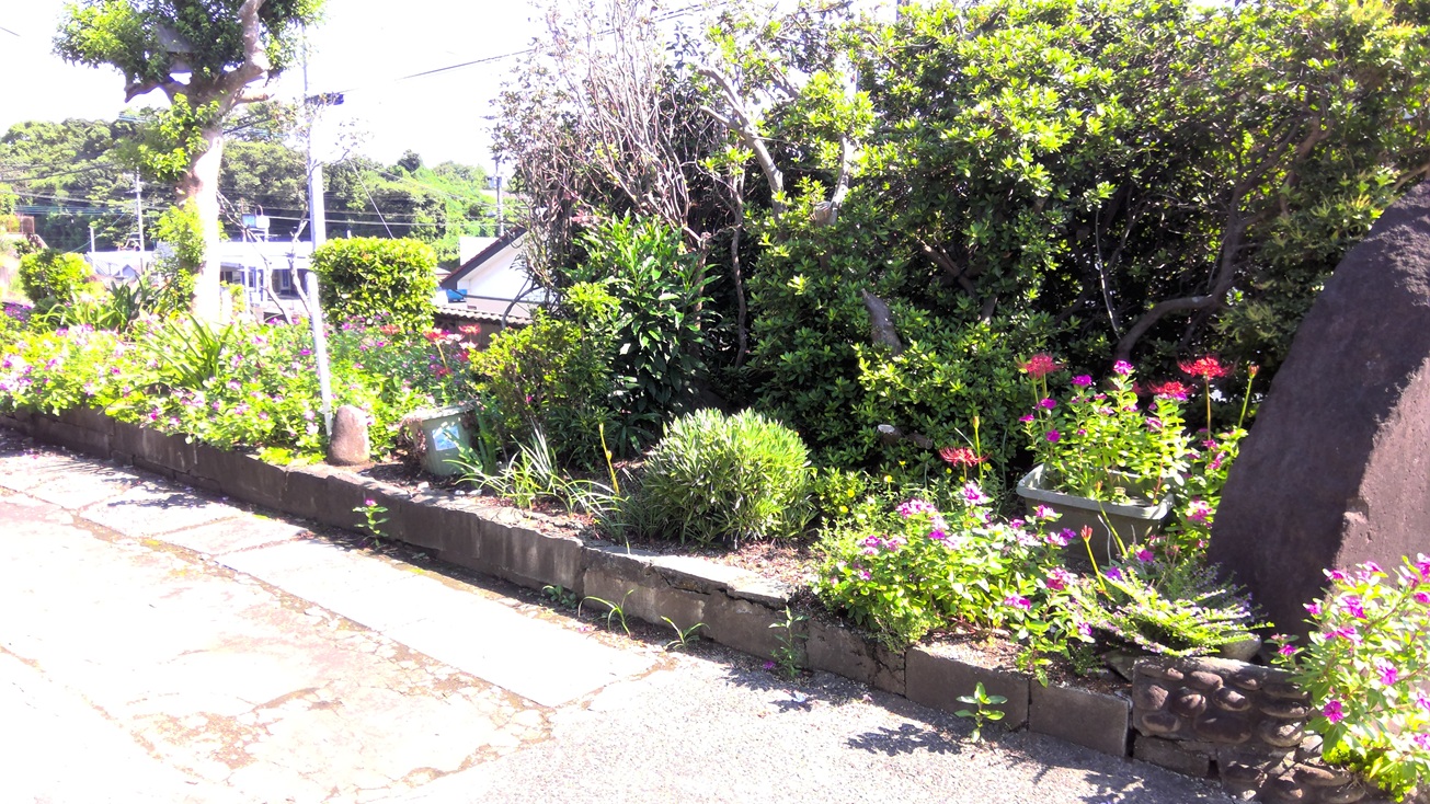 detached 高山（前田）