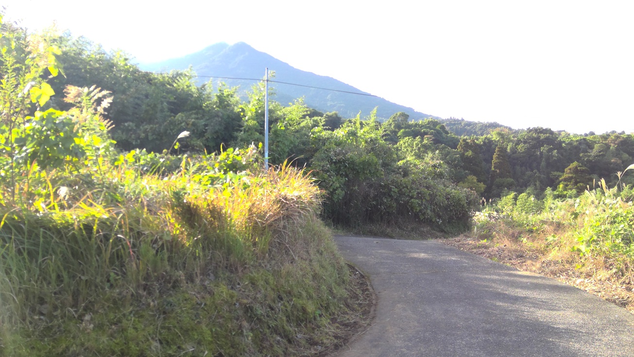 detached 高山（波見）