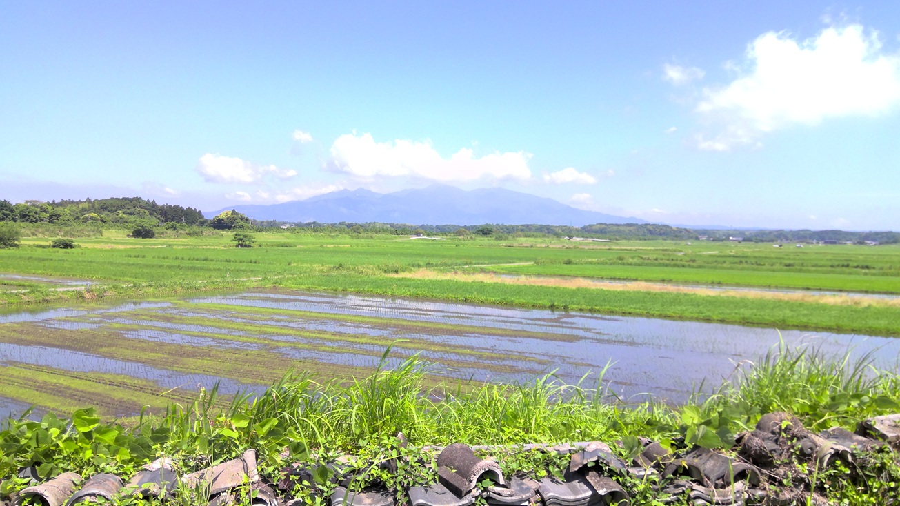 居間